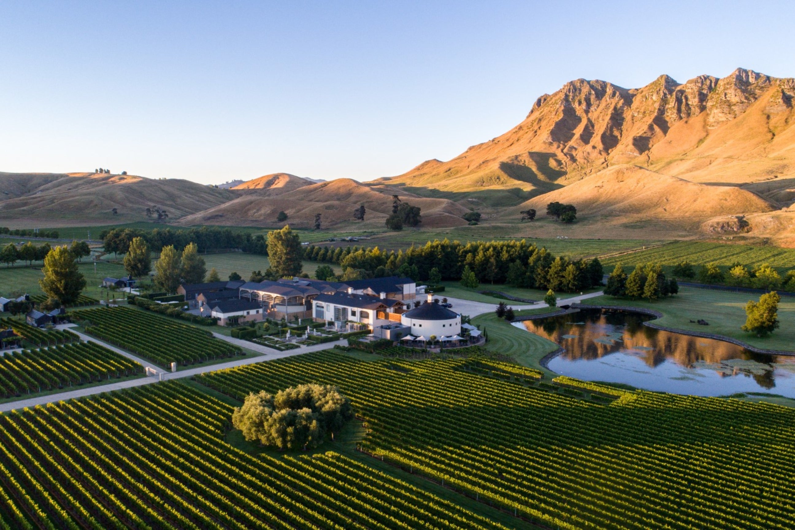 Official image for Craggy Range and Great Wine Capitals Global Network and Hawke’s Bay collaboration